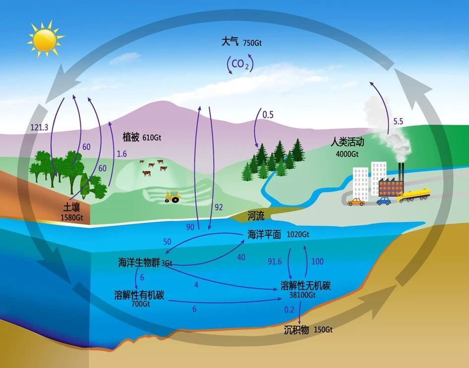 每日科普|碳里藏着地球的大秘密