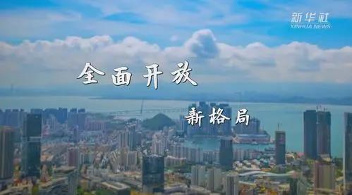 习近平：加快构建新发展格局 把握未来发展主动权