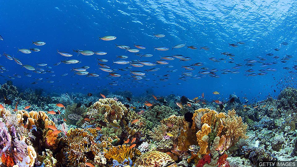 中国签署海洋生物多样性协定